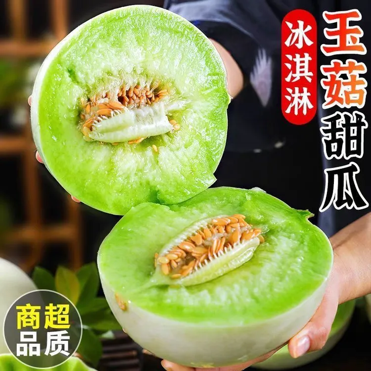 山东正宗冰淇淋玉菇甜瓜   当季新鲜软糯多汁 带箱5/10斤整箱批发