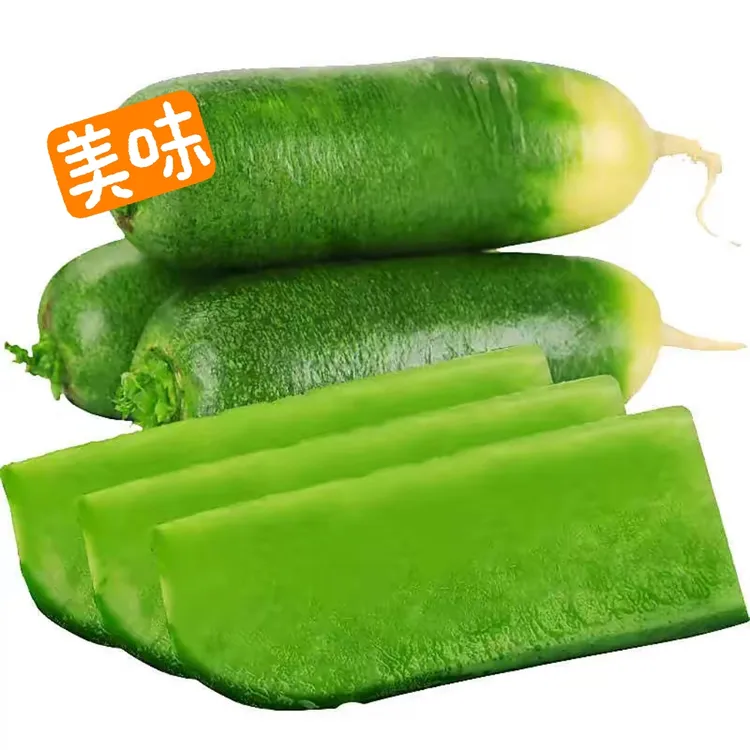 正宗潍坊水果萝卜食用农产品脆甜多汁产地直发3/5/9斤潍坊直发