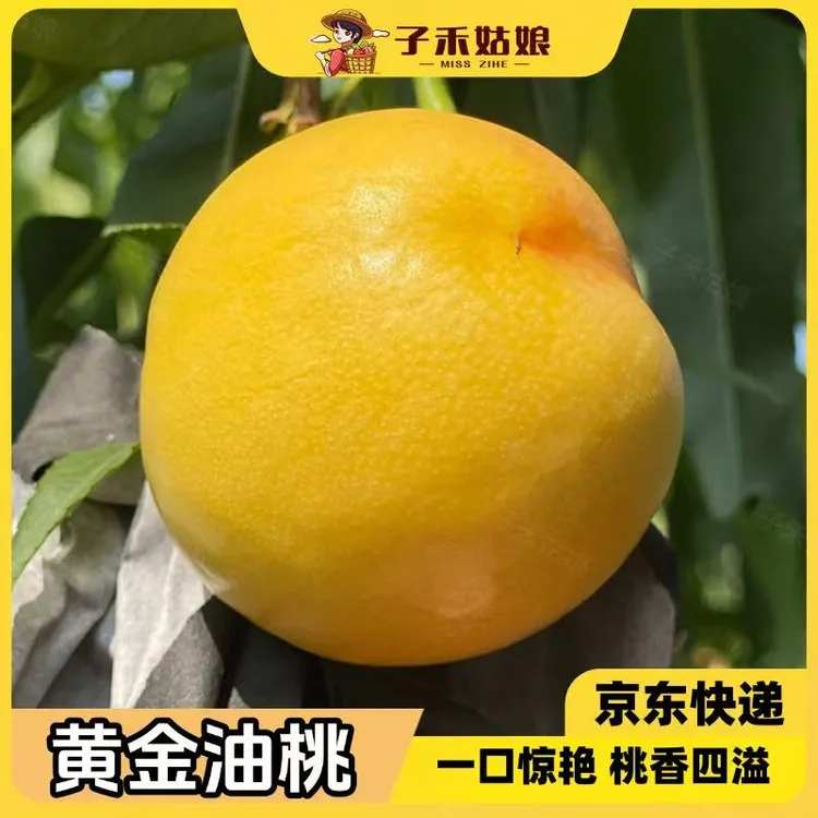 蒙阴彩虹蟠桃黄油蟠桃蜜桃子新鲜蟠桃现摘应季水果3/4斤