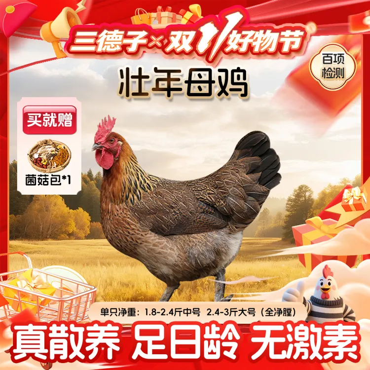 三德子 【壮年母鸡1只】炖汤老母鸡营养价值高喝鸡汤 包冰率不含冰
