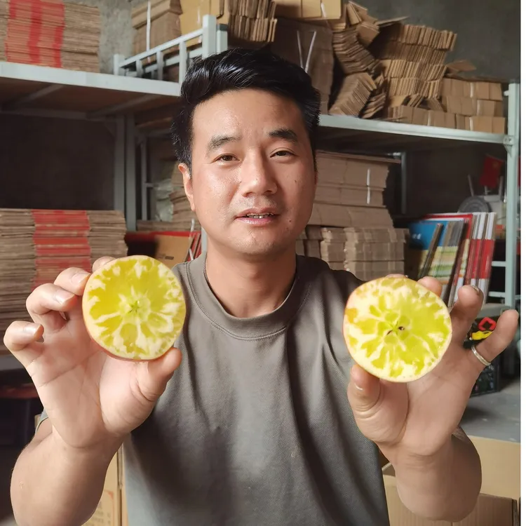 王款天专属正宗云南昭通高山种植冰糖心丑苹果当季热销产地直发红露精品果王