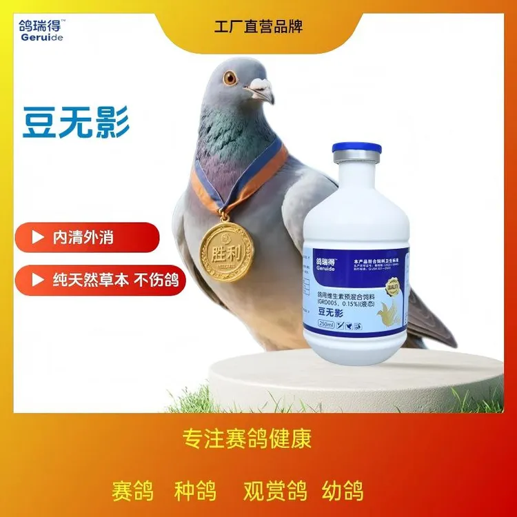 豆无影：鸽子皮肤型黏膜型鸽豆内清外消