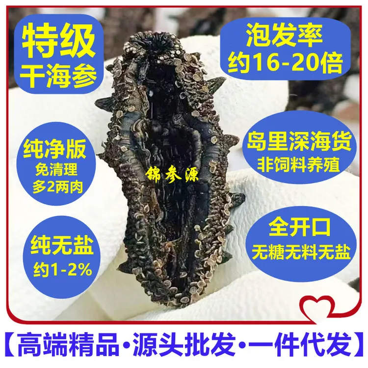 【野款·特级·全开口·纯净版·纯无盐】长岛干海参源头批发 16-20倍
