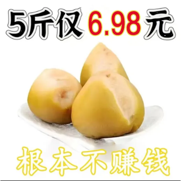 【到手 五斤】芥菜疙瘩芥菜头芥菜丝东北特产小咸菜下饭菜5斤jj