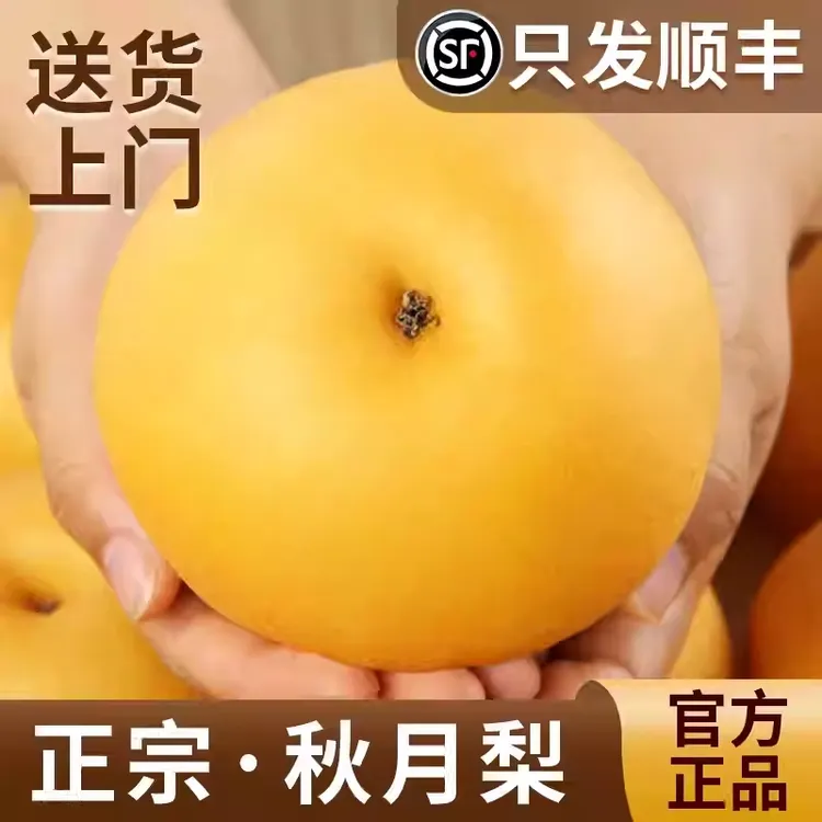 【顺丰冷链】山东莱阳秋月梨新鲜冰糖脆甜梨当季水果秋月梨现摘