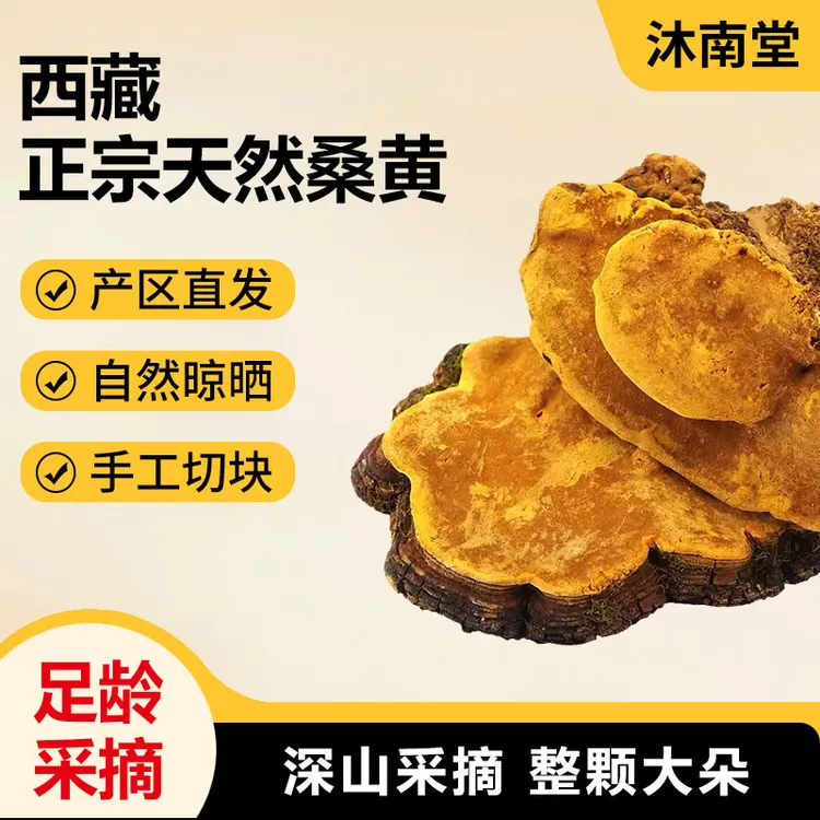 （30）桑黄切块干货营养滋补