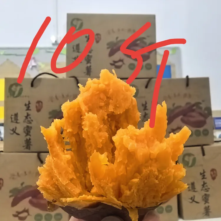 遵义生态蜜薯新鲜糖心香甜流油蒸煮烤地瓜