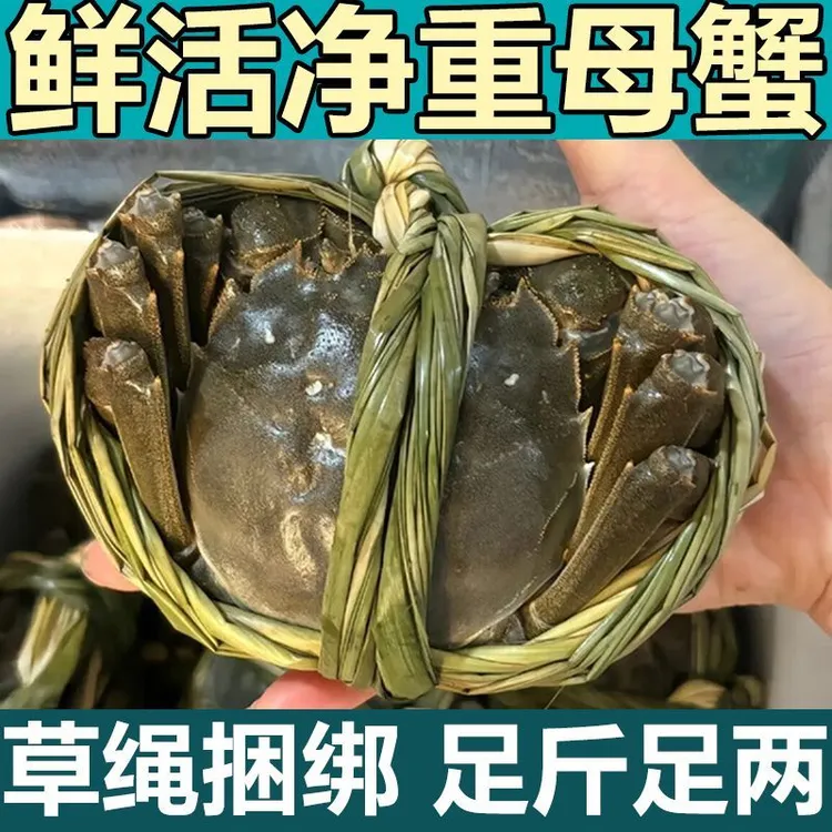 【活蟹】全母蟹1两5共10只（精挑蟹）