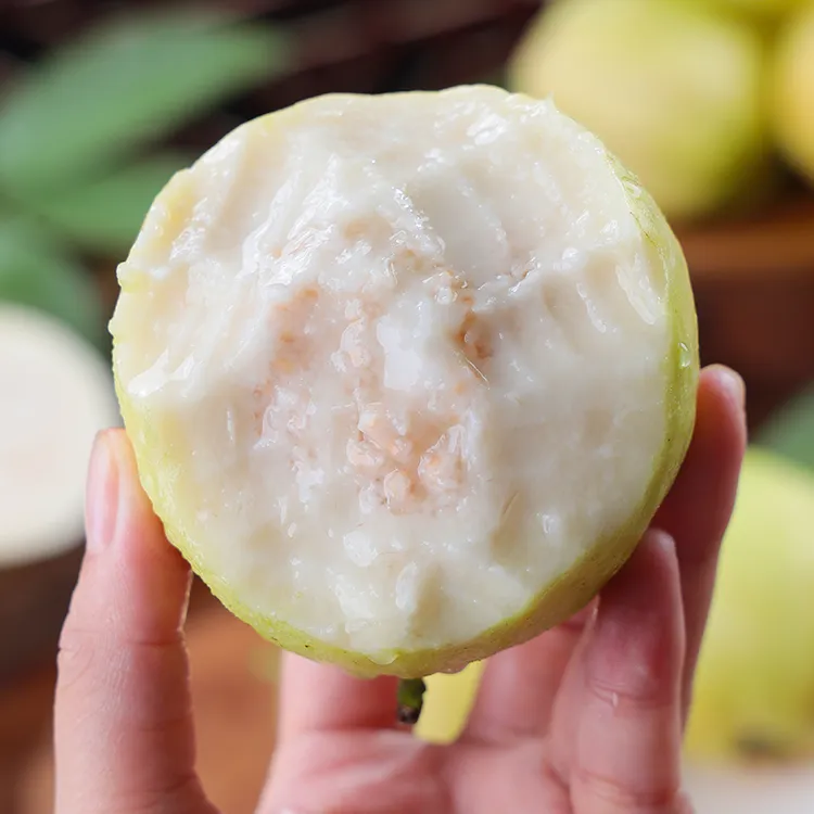【自然搭档】广西白心芭乐3斤约6-10个/5斤约8-14个新鲜水果番石榴