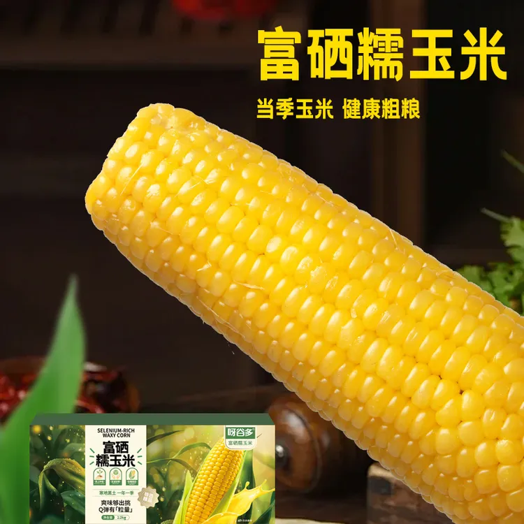 【富硒玉米】试吃2根2025头茬正宗东北黄糯玉米软糯香甜8支