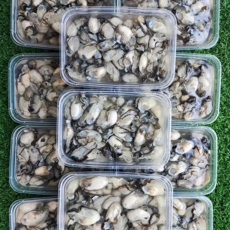 汫洲生蚝去壳现剥新鲜小海蛎生蚝牡蛎肉海鲜水产可做蚵仔煎蚝烙