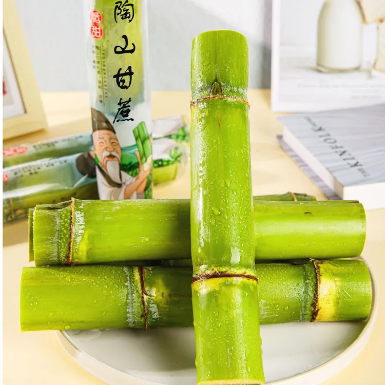 白玉甘蔗正宗陶山甘蔗5斤青皮甘蔗当季水果清甜脆皮陶山青皮甘蔗