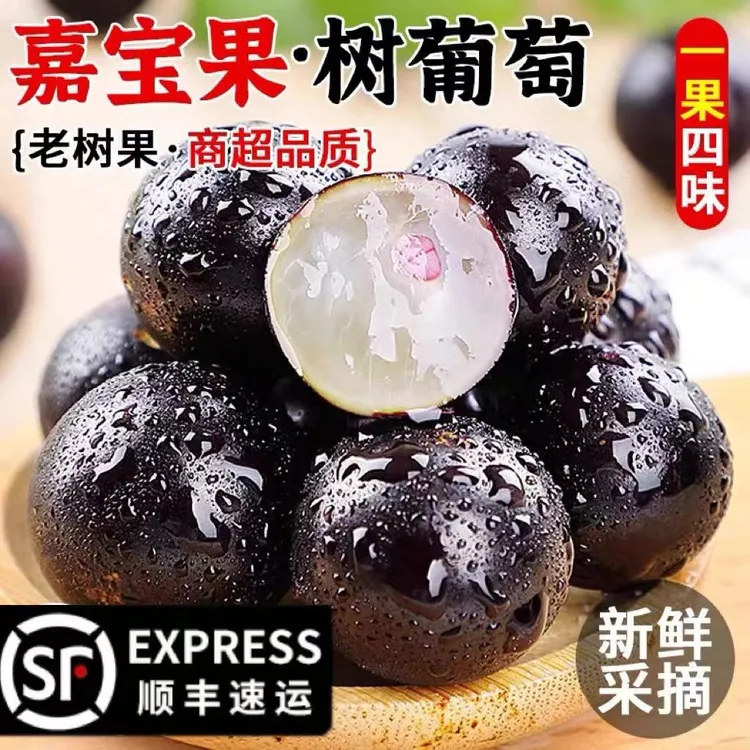 顺丰广东嘉宝果黑葡萄鲜果现摘树葡萄新鲜当季孕妇水果罕见稀