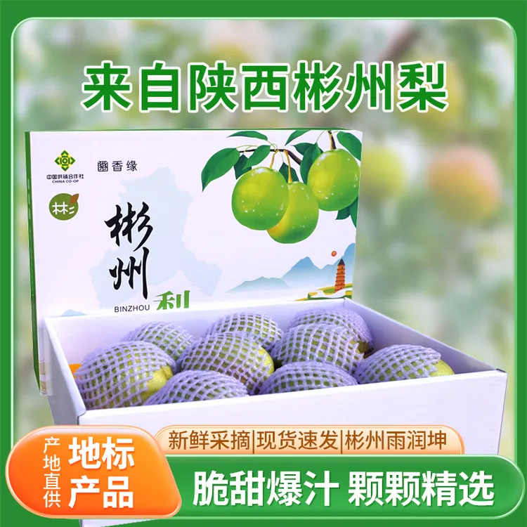 陕西彬州梨（朱家山村）玉露香梨脆甜多汁细腻化渣产地直发新鲜水果