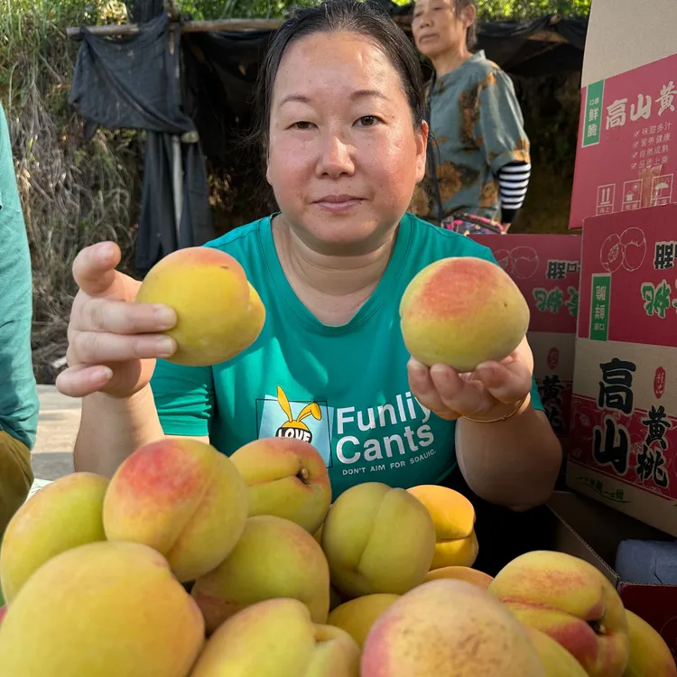【煎饺妹专属链接】麻阳高山锦绣黄桃脆甜多汁新鲜现摘包邮