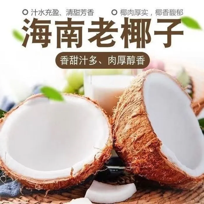 【海南去皮老椰子6个装】海南椰子现摘现发孕妇补羊水 榨椰奶煲汤