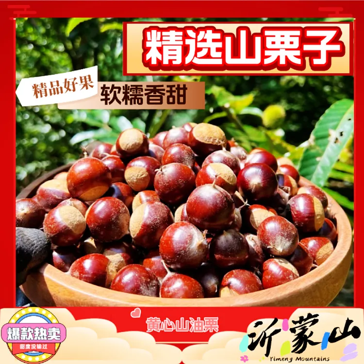 甄选当季蒙山板栗栗子野生山栗子油栗子薄皮好拨果大商用生板栗