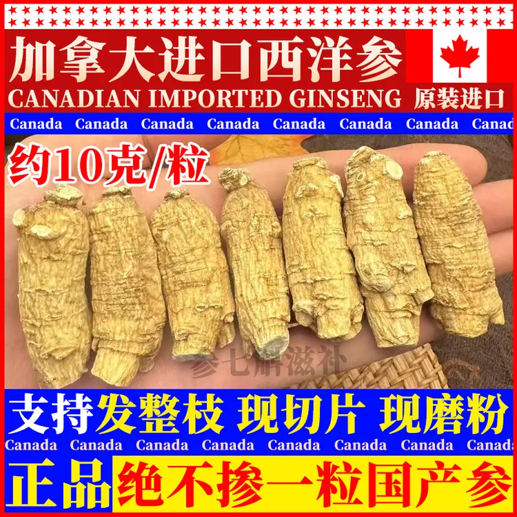 【10克/粒西洋参】正宗加拿大进口西洋参煮汤泡水现场切片磨粉