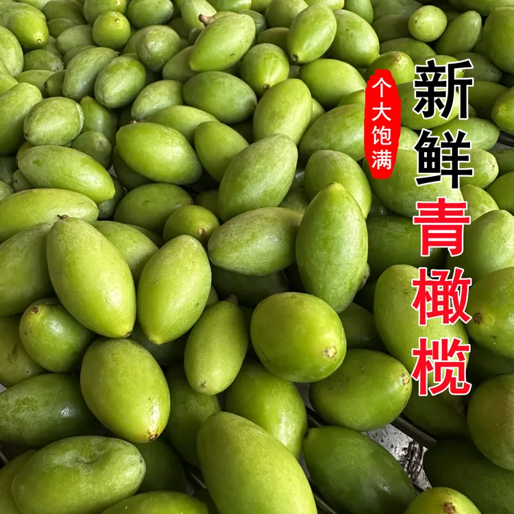 新鲜现摘青橄榄潮汕特产适合煲汤的孕妇水果
