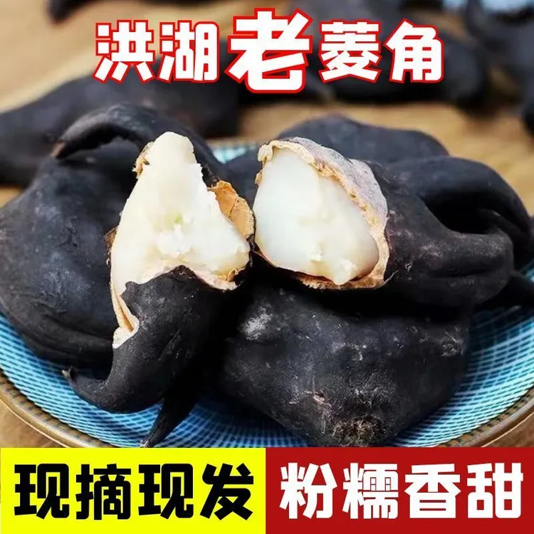 洪湖新品2025上市新鲜菱角湖北特产当季现摘蔬菜即食生吃老菱角