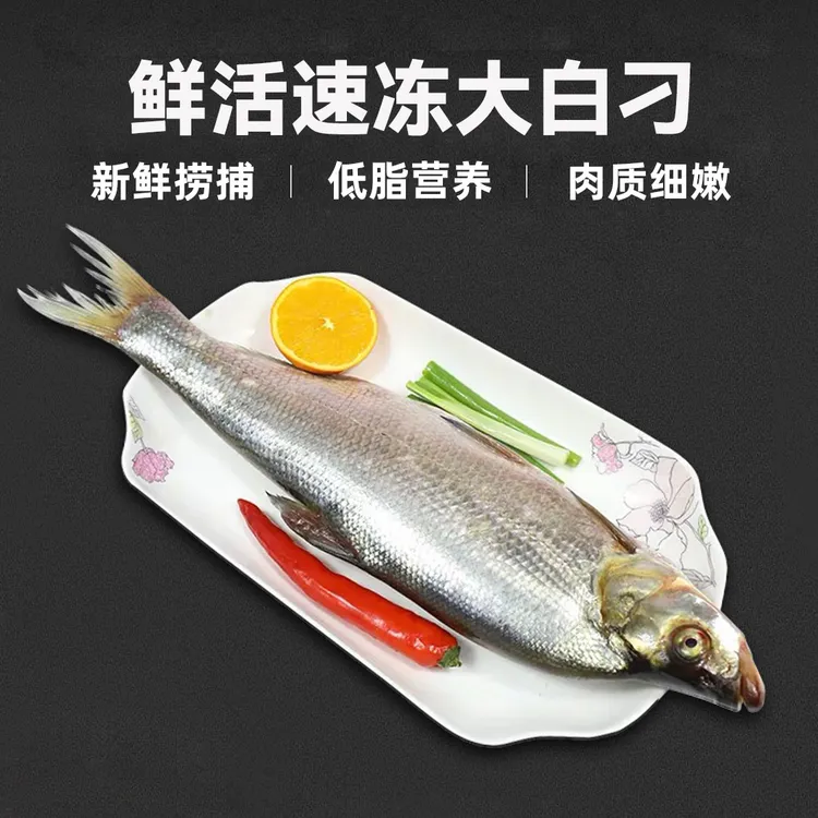 新鲜翘嘴鲌鱼湖北特产刁子鱼大白鱼水库活鱼现杀