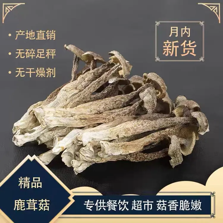 鹿茸菇干货新货云南土特产煲汤佳品脆脆菇