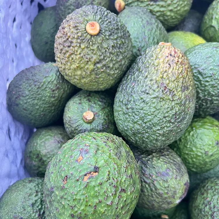 【大小花果】现称现挑云南哈斯牛油果135-240之间混装介意外表勿拍