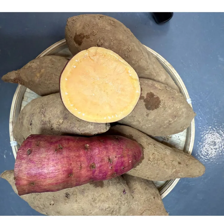 （坛坪村助农直播间）红薯新鲜现挖粉糯如栗香甜可口自然生长现发