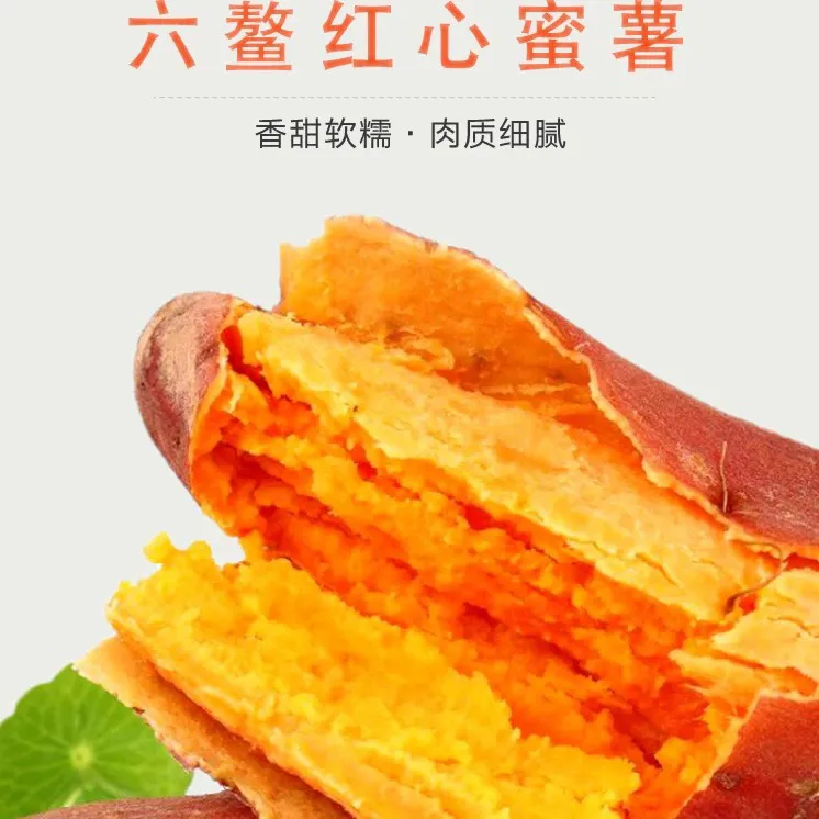 现挖包邮六鳌沙地红蜜薯新鲜农家红心番薯3/5/9斤装沙地蜜薯红薯