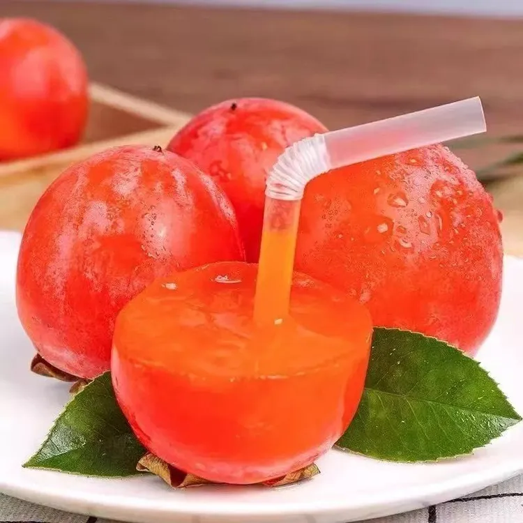 脆甜柿子树南北方种植盆栽地栽