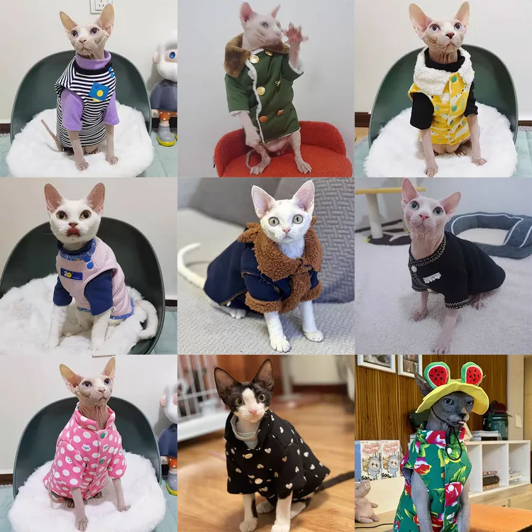 棉袄专拍链接满50包邮无毛德文猫衣服冬季加厚棉袄舒适透气保暖