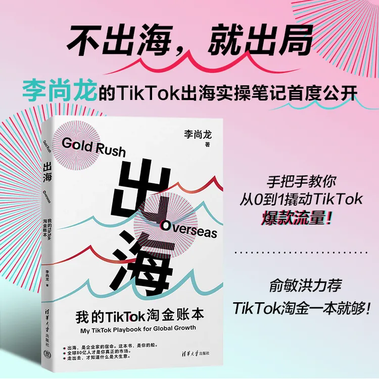 出海：我的TikTok淘金账本