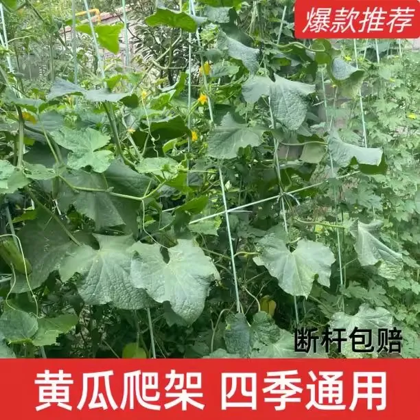 厂家直销玻璃纤维杆西瓜蔬菜农用大小棚支架拱杆豆角黄瓜爬藤架杆