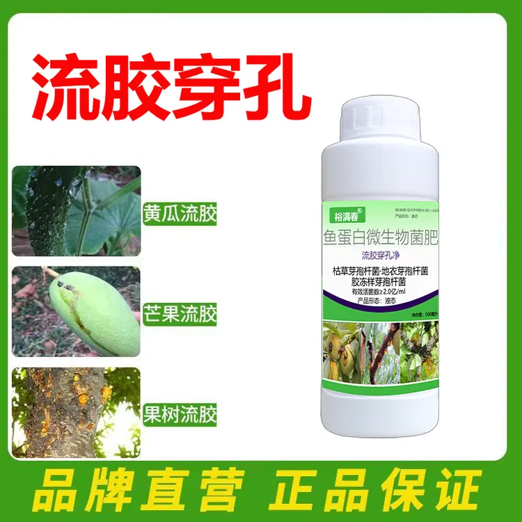 果树流胶流胶净桃树李子杏树黄瓜活菌流胶净氨基酸病菌剂裕满春2