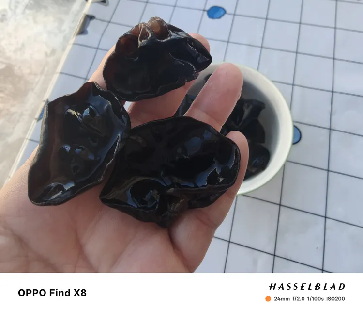 东北黑木耳500克无增重新鲜肉质肥厚高泡发率高