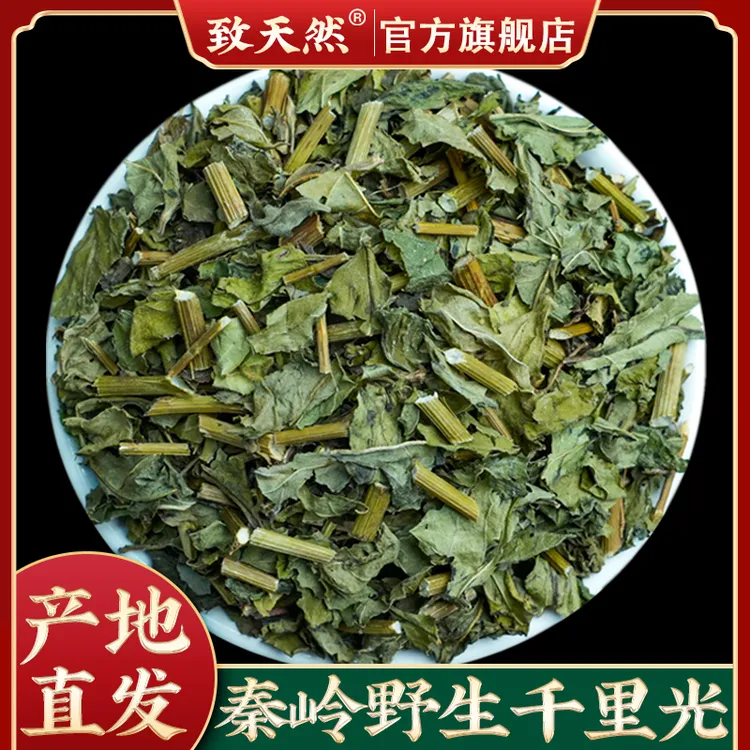 正宗秦岭野生千里光250g500g新货明目草千里光农家自采非鱼腥草