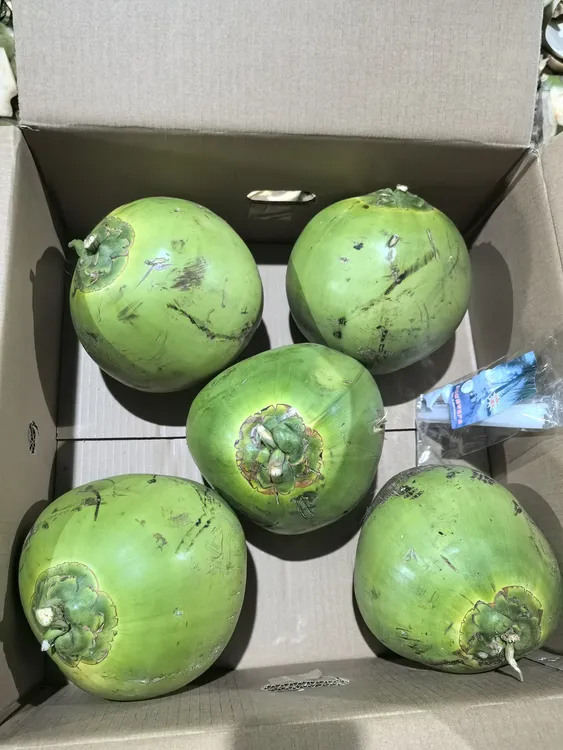 《源头产地》正宗海南文昌东郊海边的青皮椰子5个果王装精品礼盒装
