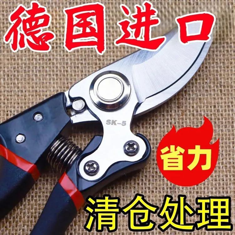 原装日本VVT进口SK5强力园艺修枝剪新款园林家用省力款花枝园艺剪