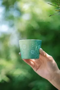 【GB】玲珑猪口杯芳菲（翠薇）