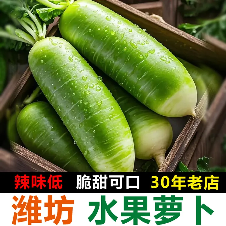 潍坊水果萝卜产地直发脆甜多汁微辣爽口正宗老潍县萝卜青水果萝卜