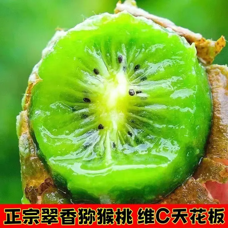 【新疆包邮】正宗周至翠香猕猴桃爆甜天花板