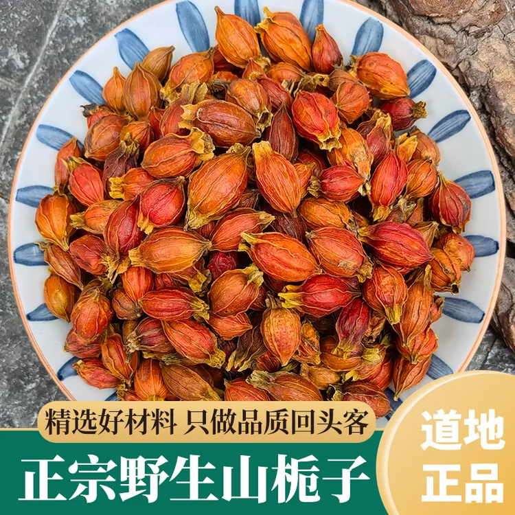 老品种山栀子农家生晒小个黄栀子果黄枝子栀子茶栀子干货