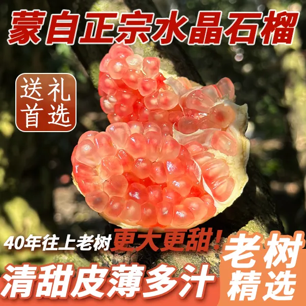 【自产自销】云南蒙自正宗水晶绿籽禄籽硬籽石榴清甜皮薄多汁大颗粒