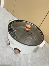 双旋钮电煮锅，款式 颜色规格随机发
