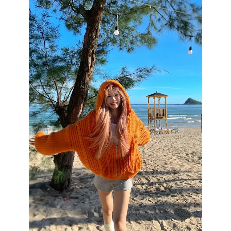 美式慵懒风麻花针织连帽毛衣男女春秋季宽松百搭多巴胺潮流毛衫