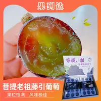 【坏果包赔】菩提老祖藤引葡萄3.5-4斤
