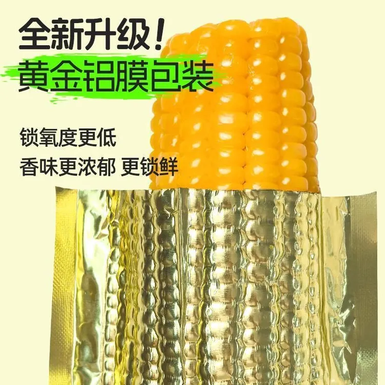 ~【试吃2根】 黄糯玉米 整箱10根 东北黑土地种植 整箱5.5斤