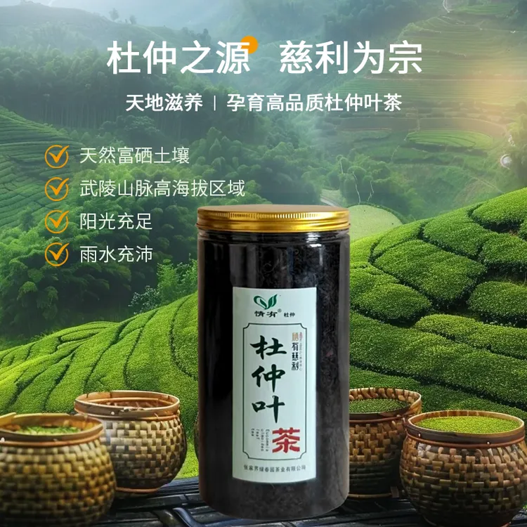 情有杜仲茶张家界慈利老树嫩叶富硒绿原酸养生茶送父母2025新茶