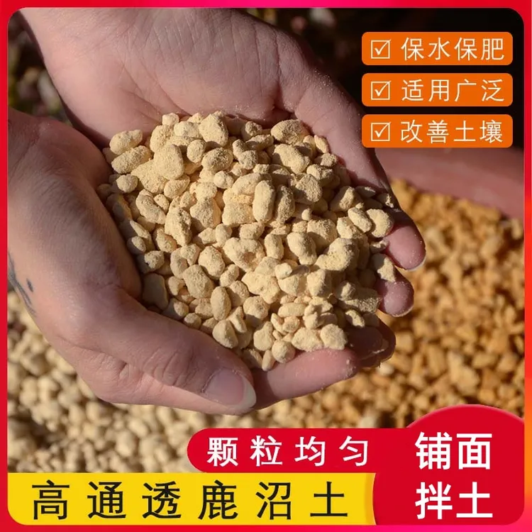 鹿沼土颗粒小多肉铺面石种植土肉肉专用土硬质鹿沼土日本进口