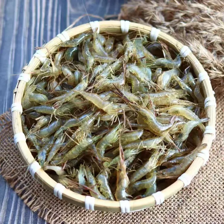 新鲜小河虾鲜活冷冻3两一板